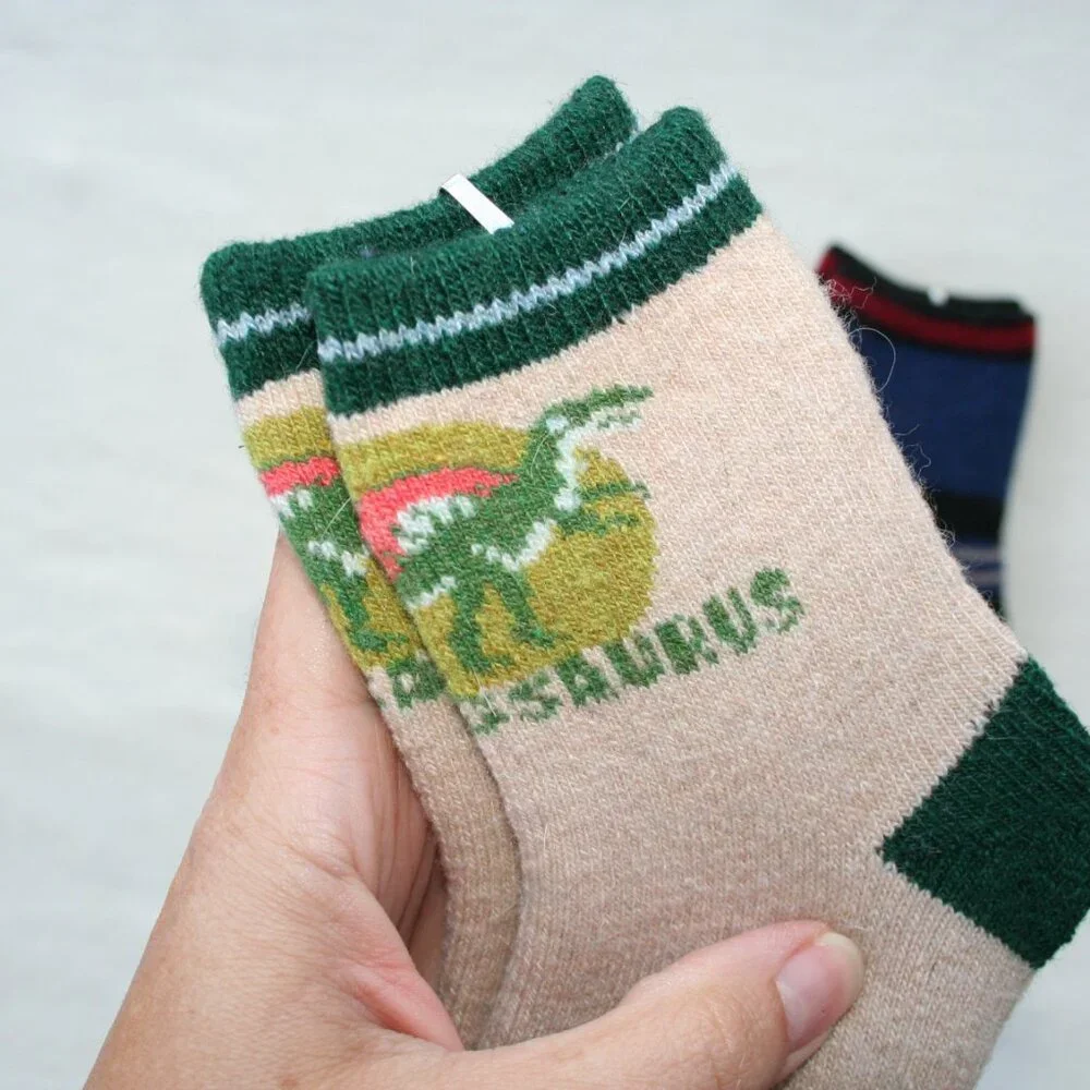 SUPER SOFT KIDS Sz 9 - 11 DINO SOCKS THICK COMFY WARM 2 PAIR LOT DINOSAUR BOYS